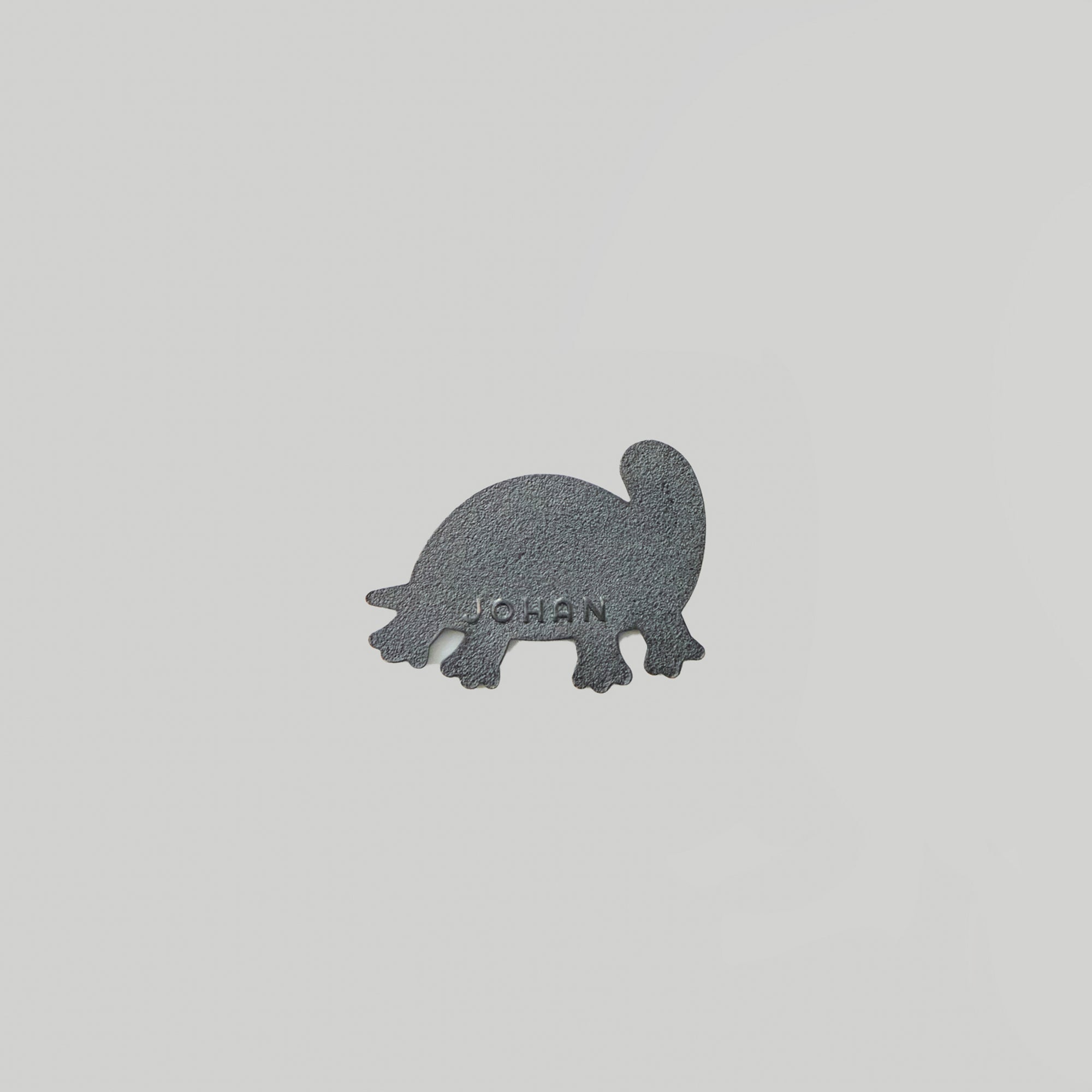 GEOBUK THE TURTLE