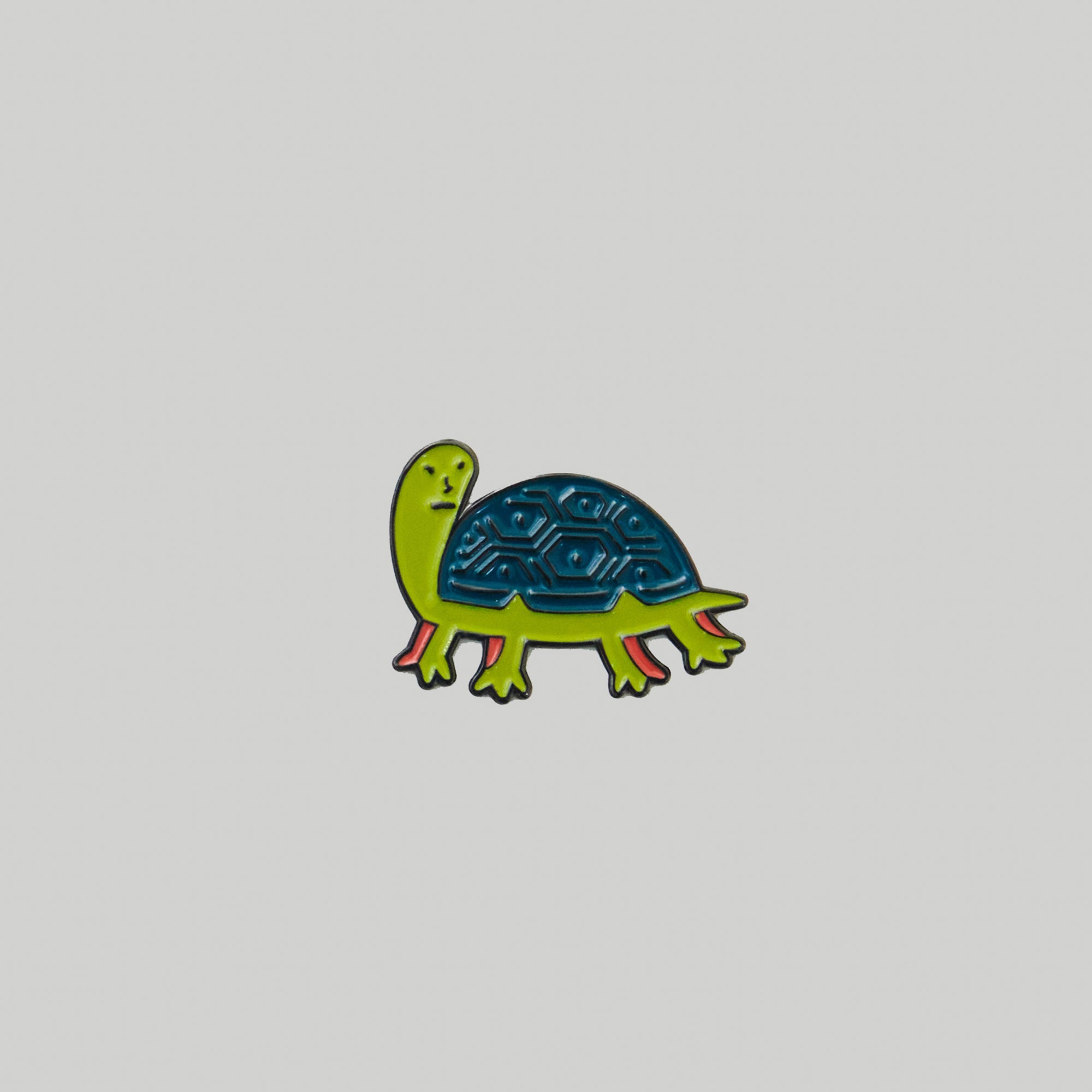 GEOBUK THE TURTLE