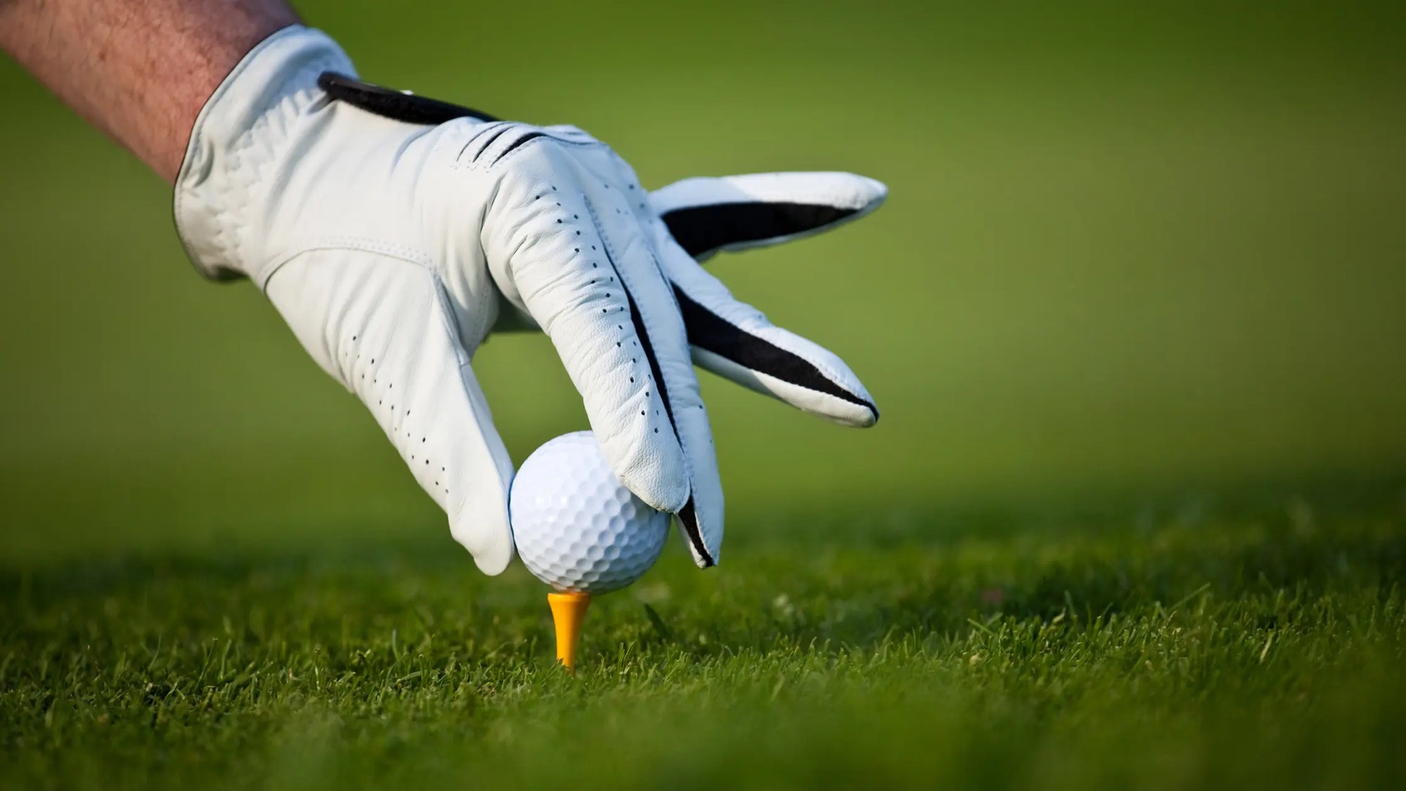 Essential Guide to Golf Gloves